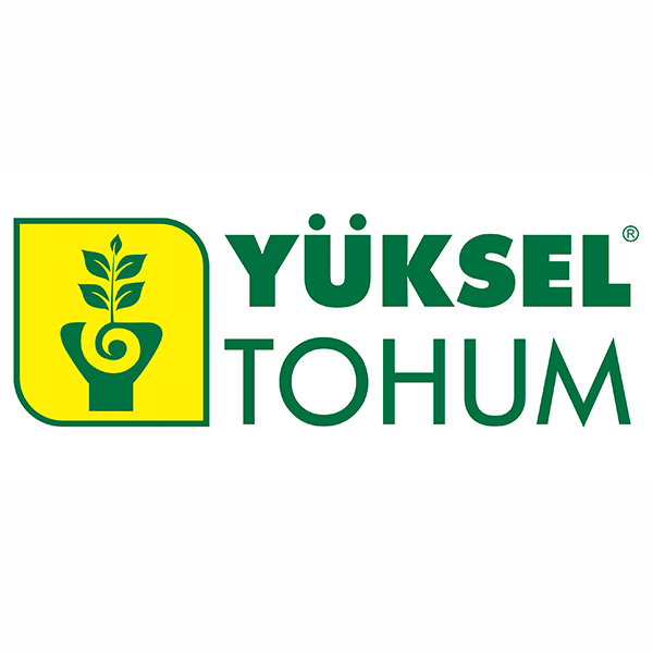 Yuksel tohum