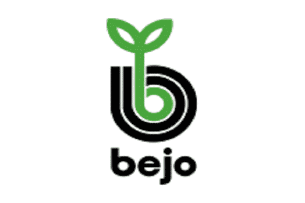 Bejo zaden