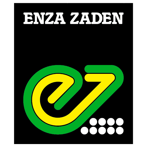 Enza zaden