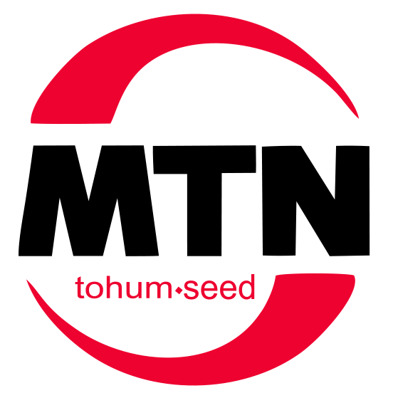 MTN tohum