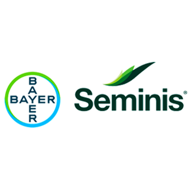 Semenis