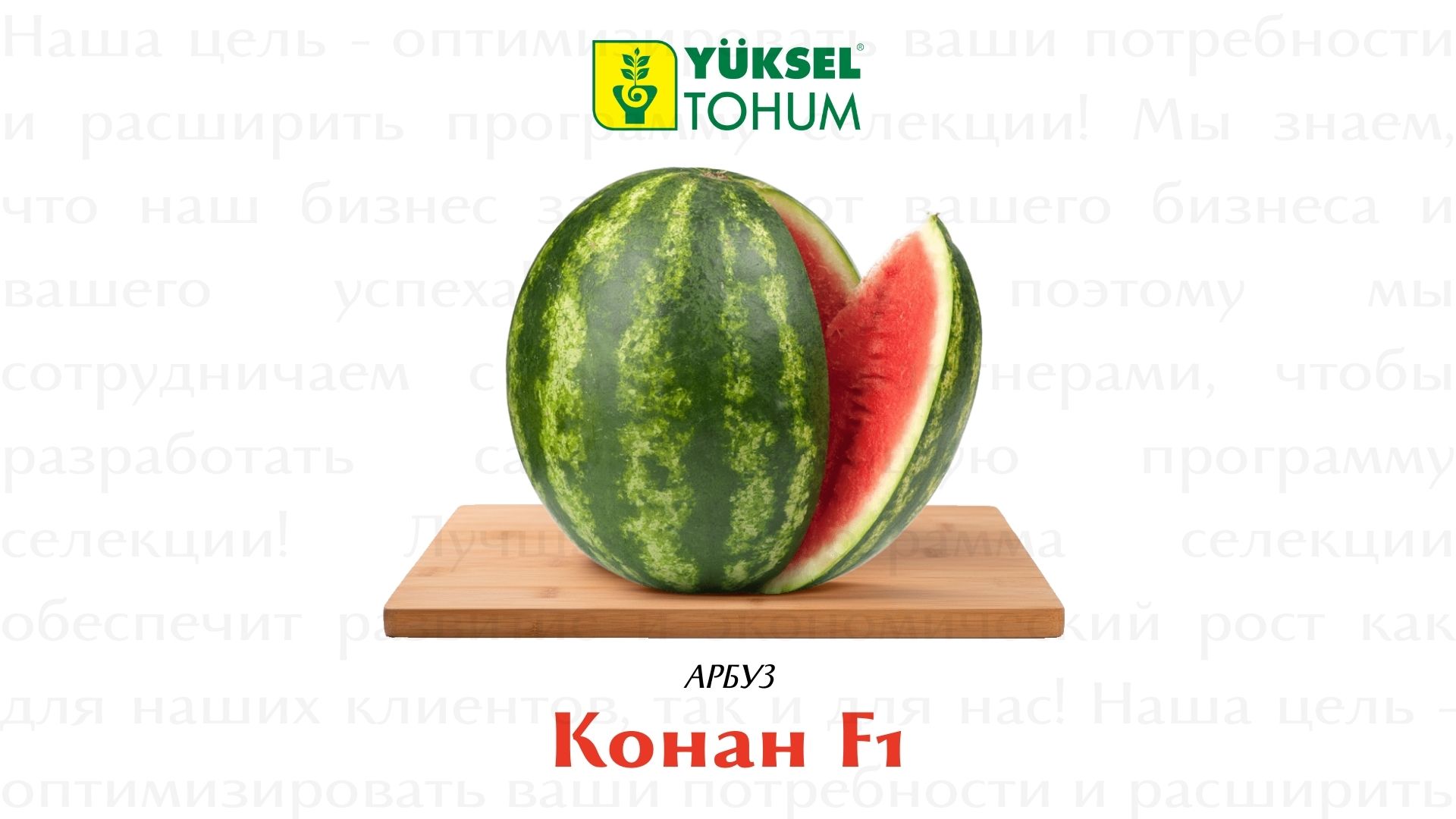 АРБУЗЫ YUKSEL SEEDS 🍉🇹🇷