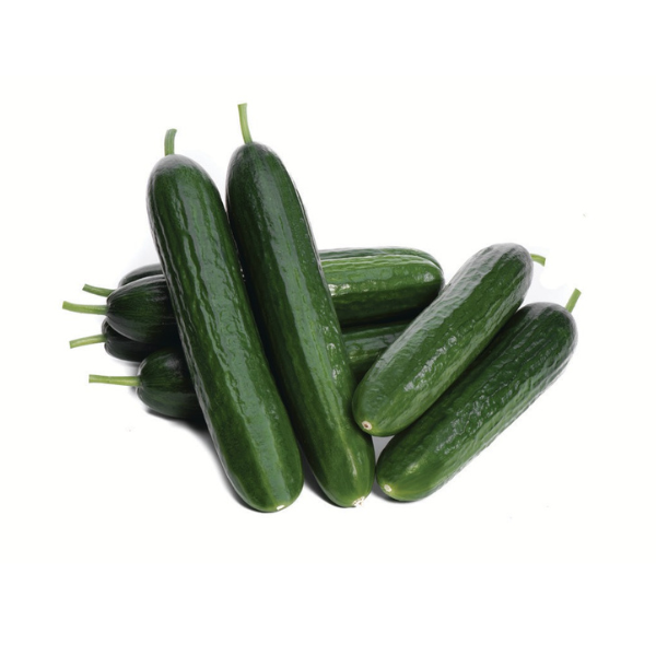 Багатао F1 - (Гибрид огурца - тип Бейт-Альфа)